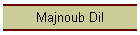 Majnoub Dil