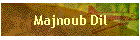 Majnoub Dil
