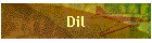 Dil