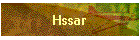 Hssar