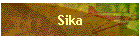 Sika